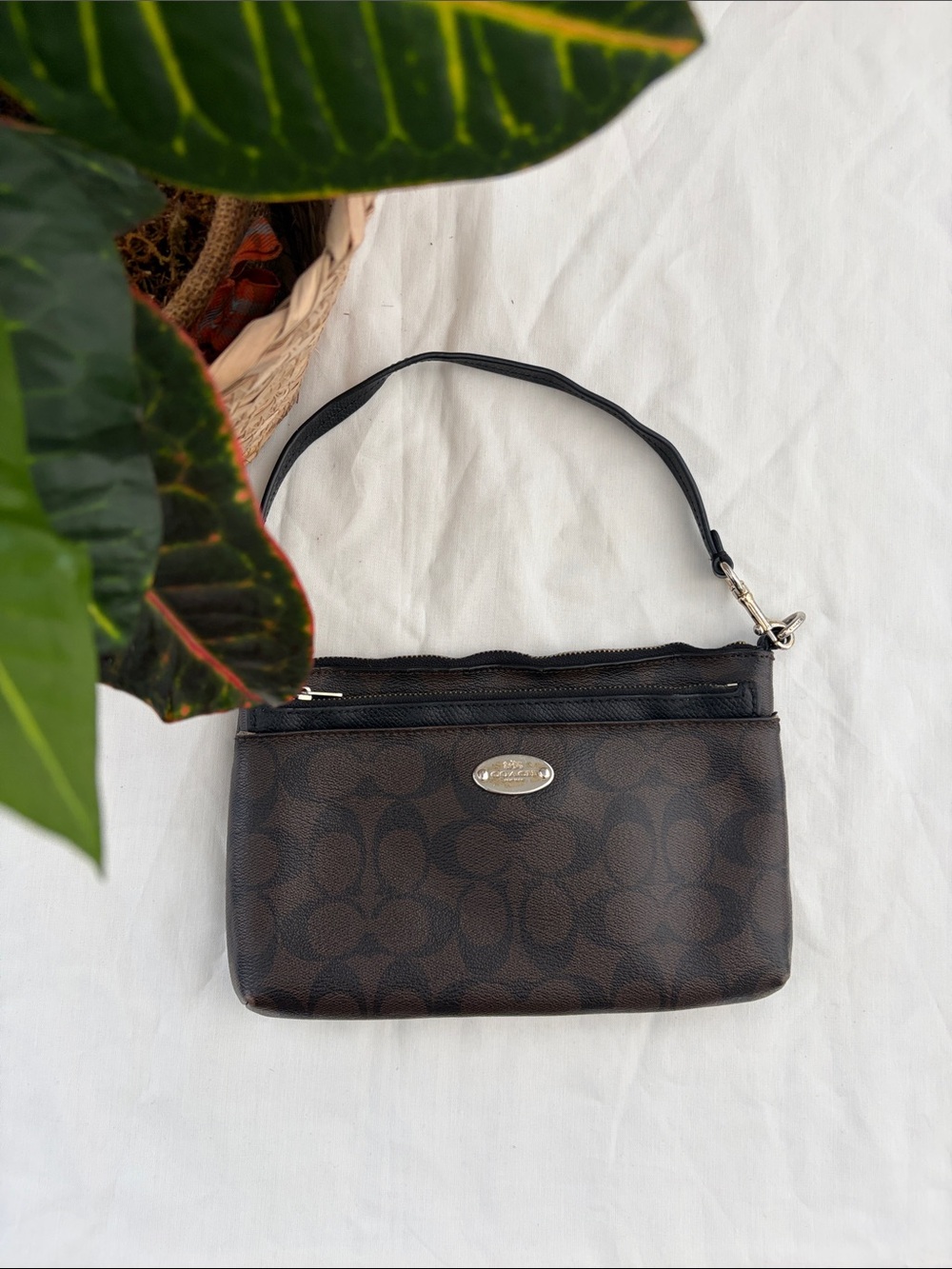 Coach Brown Signature Canvas Wristlet